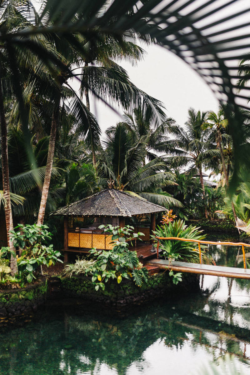 Daring Looks Celebrities Wore to Paris Fashion Week this Year Daring Looks Celebrities Wore to Paris Fashion Week this Year